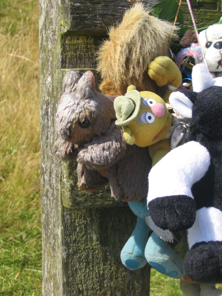 První veverka, kterou jsme potkali