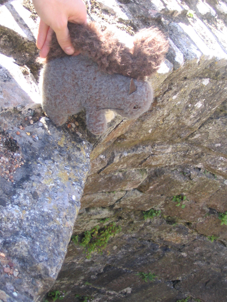 Veverka hledí do hradní studny 