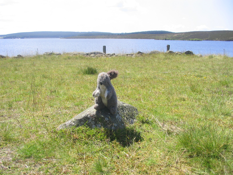 V kruhu kamenů u Llyn Brenig
