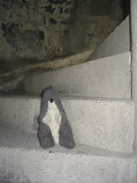 Na schodech v Harlechu