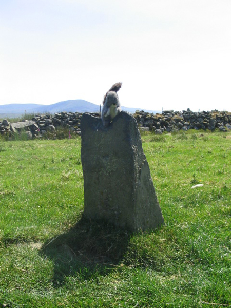 Jeden jí ale nikdy nestačí