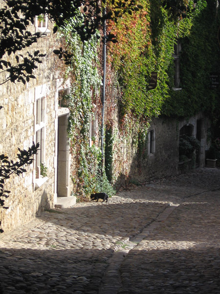 HLídací čarodějná kočka