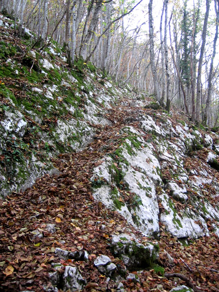 Sebevražedná pěšinka