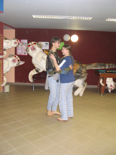 Poslední tanec Lovců Veverek