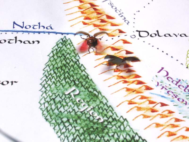 Obří mandelinka terorizuje Morinex!