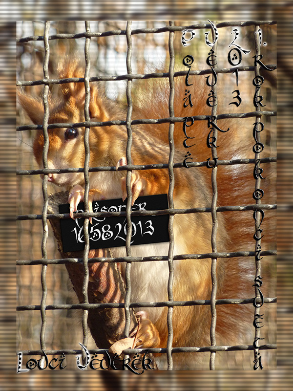 PF Lovců Veverek 2013