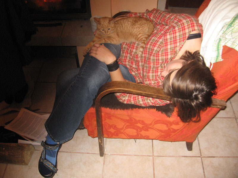 Korálek odpočívá