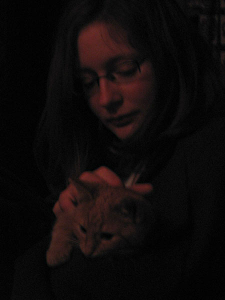 Co asi tak zamýšlí Vôllôs s kouzelnickou kočkou? 