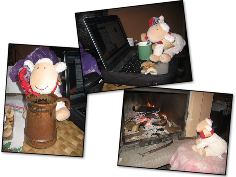 Workoholická ovečka