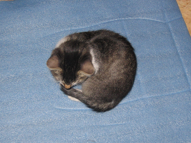 Ale teď už honem spát!