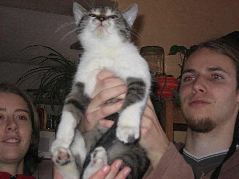 Blahoslaven budiž Leonidas!