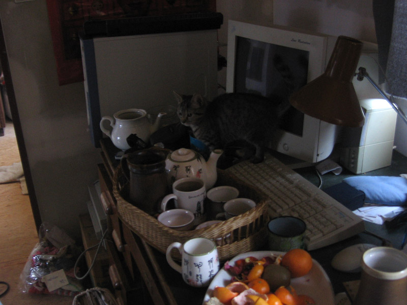 Čaj naservírován a ohlídán...