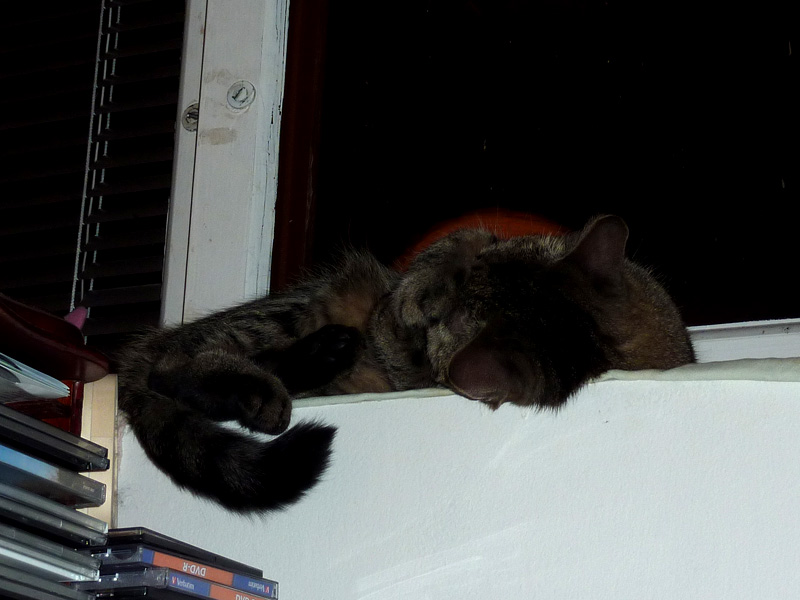 Na to se nedá koukat