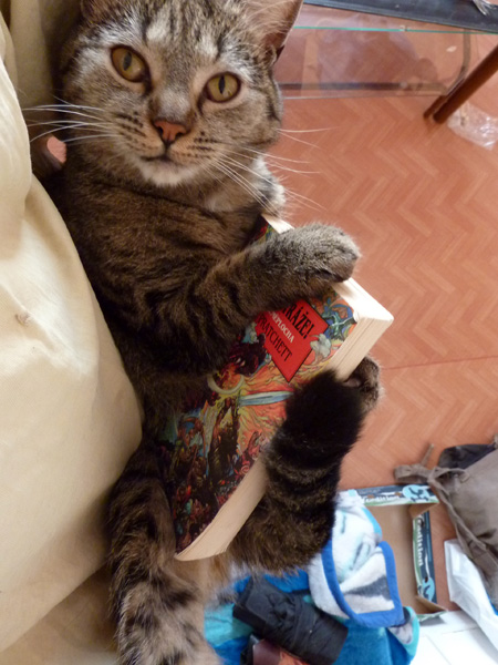 A teď už mě nerušte, jdu si číst něco vážnějšího.