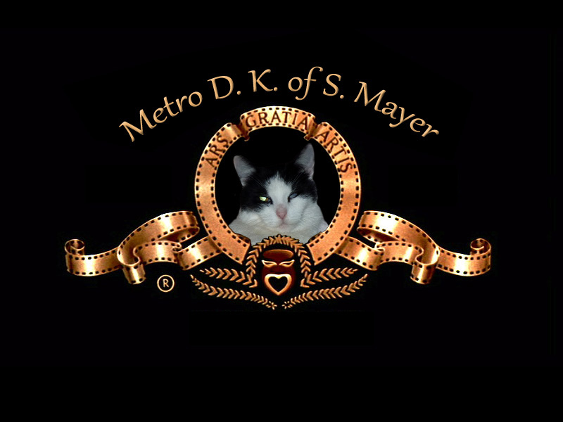 Metro Dark Kulf ot Sun uvádí