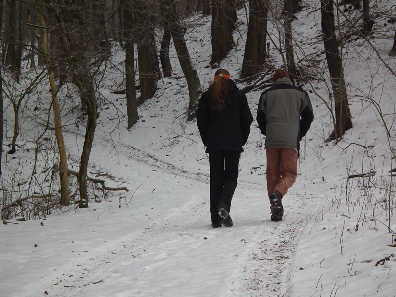 Procházka s režisérem