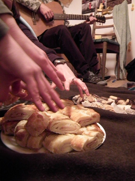 Ještěrčí roláda