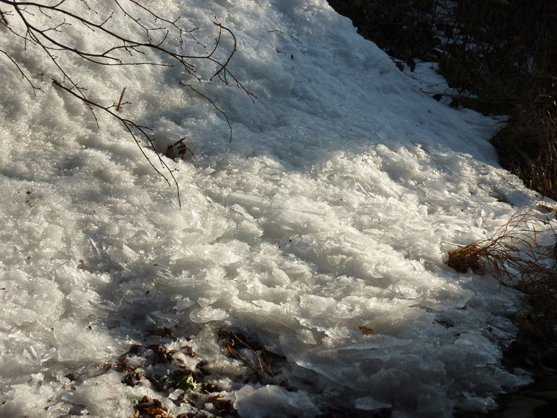 Ráno bylo opravdu chladné