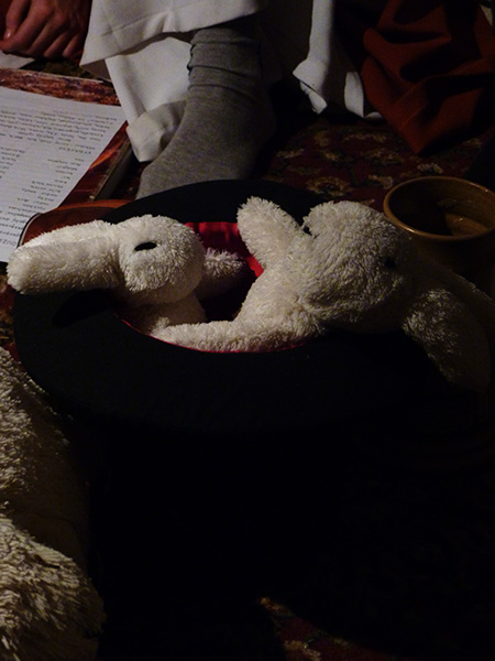 Pokustónovi králící Bob a Bobek