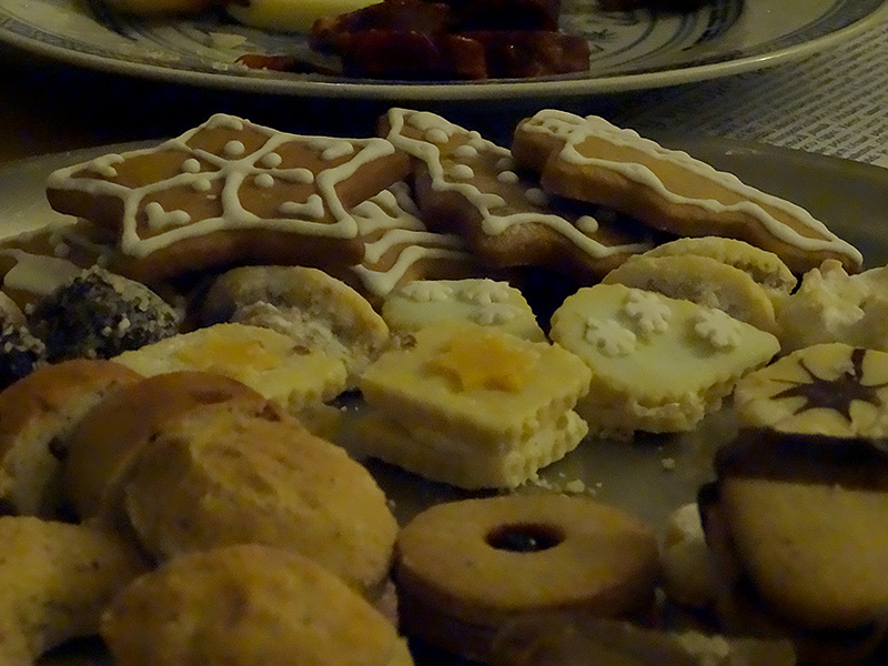 Ještěrčí perníčky