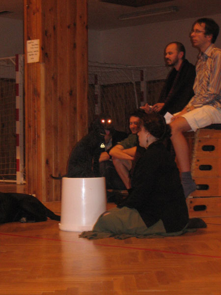 Netvor Baskervillský