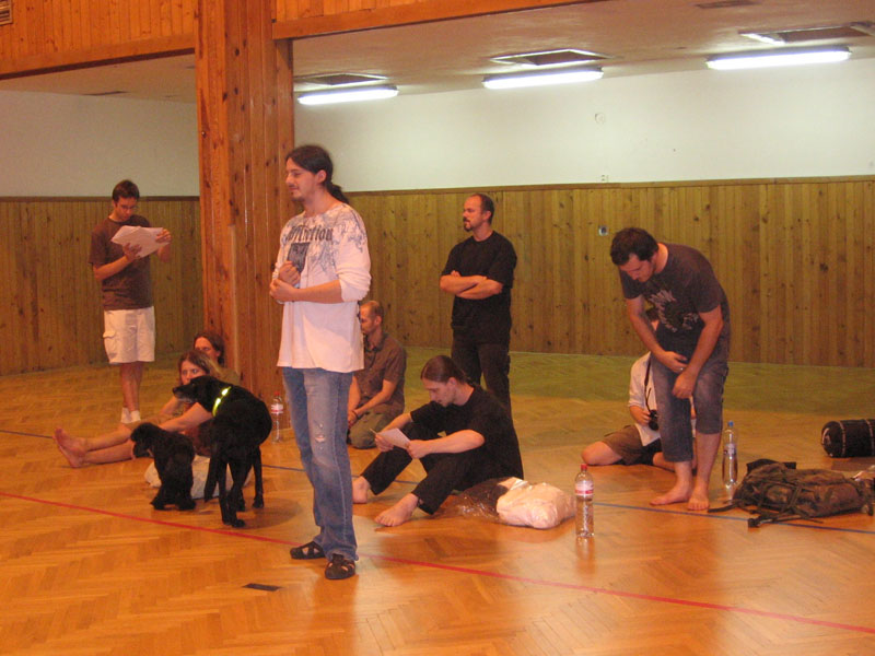 Dovolte, bych sušše předpokládal