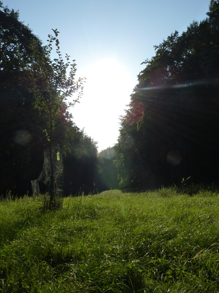 Vstávali jsme s prvními paprsky