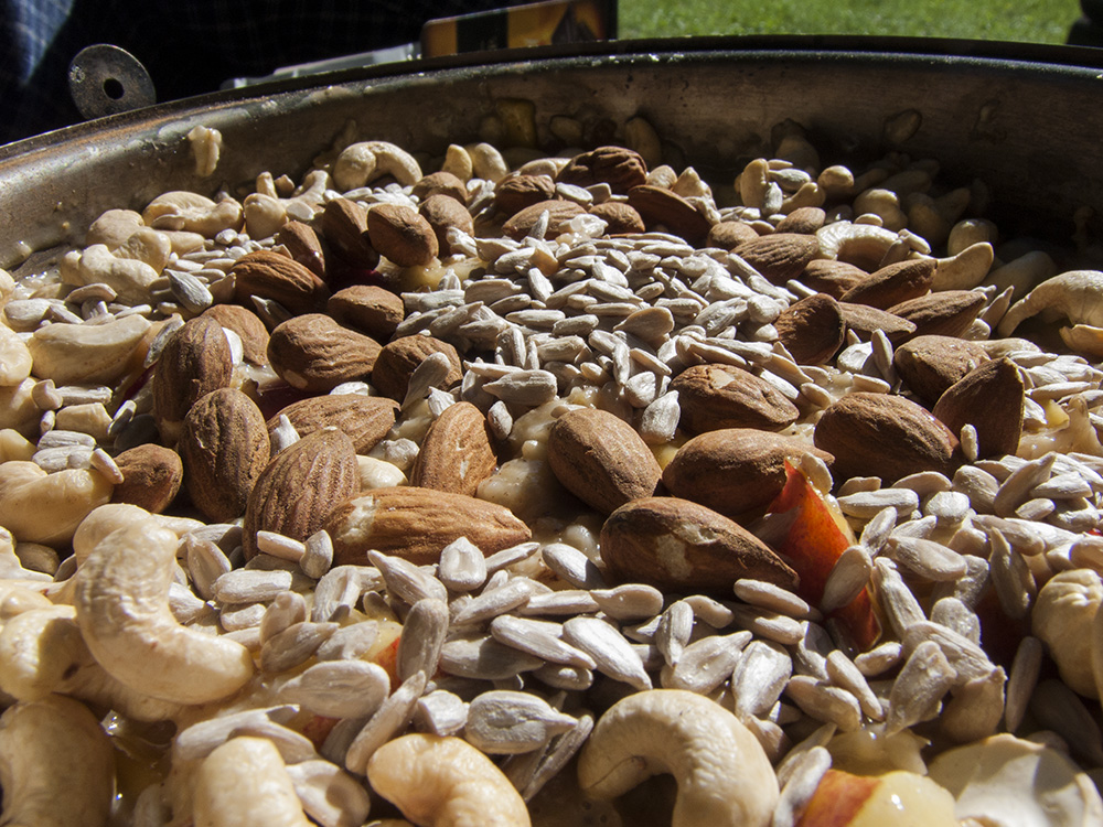 Každoroční poryč