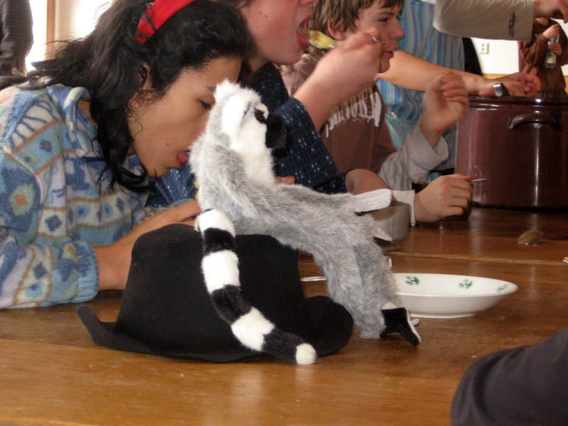 ... i všudypřítomnému Zorčinému Lemurovi.