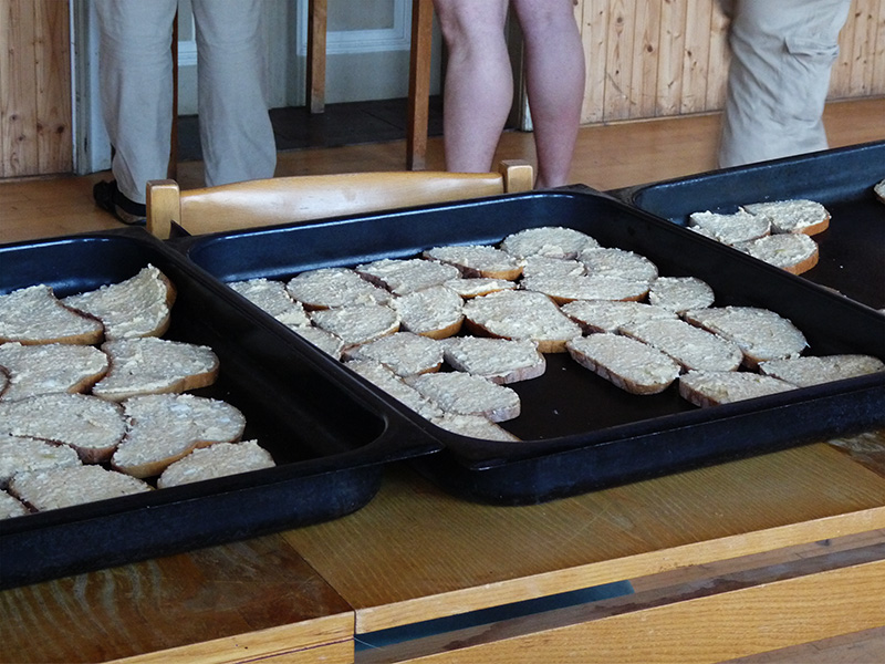 Evergreeny každého Úsvitconu