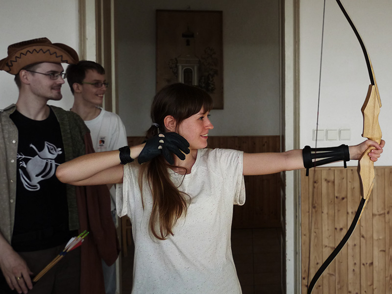 Lučištnice a její svita