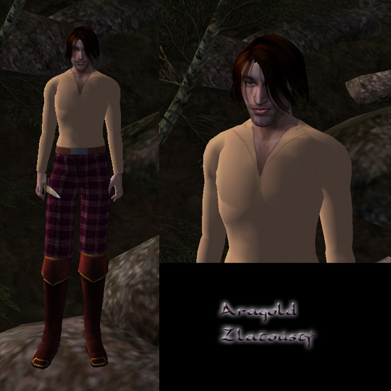 Aragold Zlatoústý v modu pro Morrowind