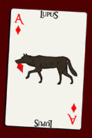 Heymdallův vlk Lupus na kartě