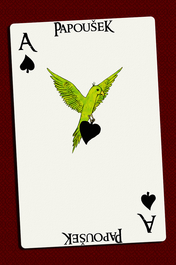 Papoušek na kartě