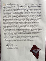 Rytířský dekret družiny